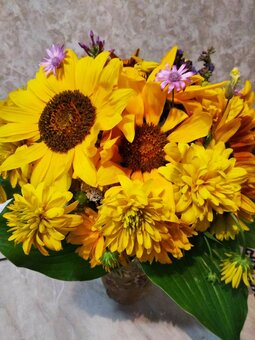 Апартаменти 1room flat near railway station in odessa