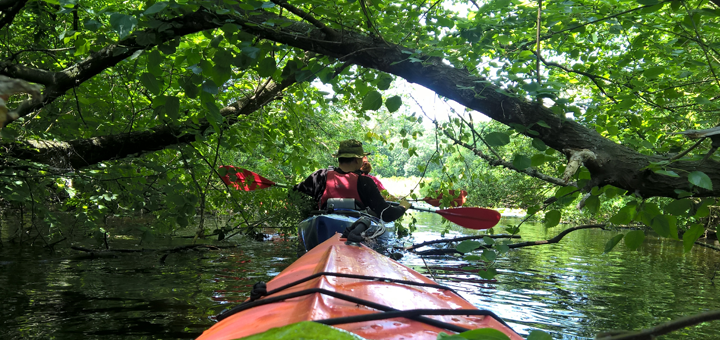 Discounts and promotions for kayak rentals. Sign up for promotions