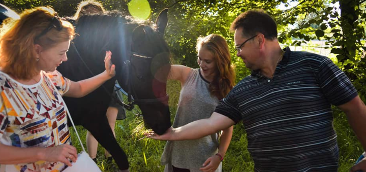 Lemberg Horse Club акции и скидки