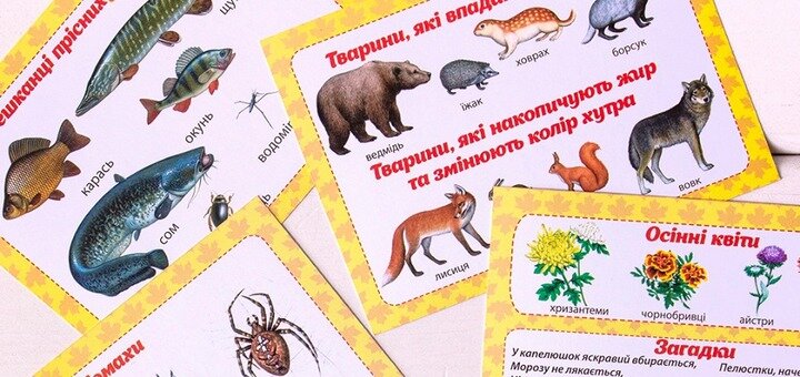 Розвиваючі картки у магазині «Zlatka.com.ua». Купити зі знижкою.