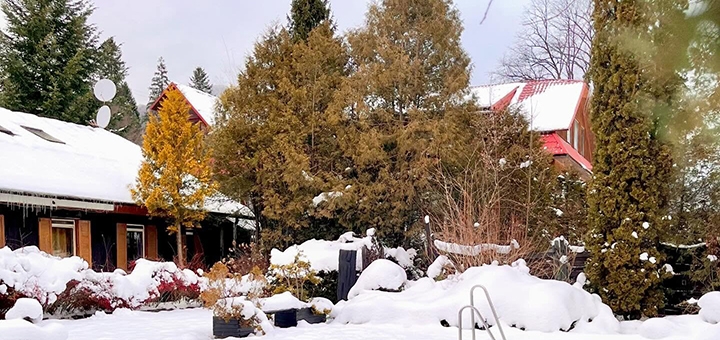 Парк-готель Svyat. Бронюйте за акцією 2