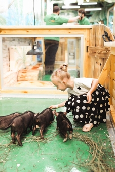 Zootopia petting zoo in Kyiv for promotion 28