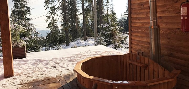 Alpine Eco Chalet & Wellness on Dragobrat. Book with promotion 8