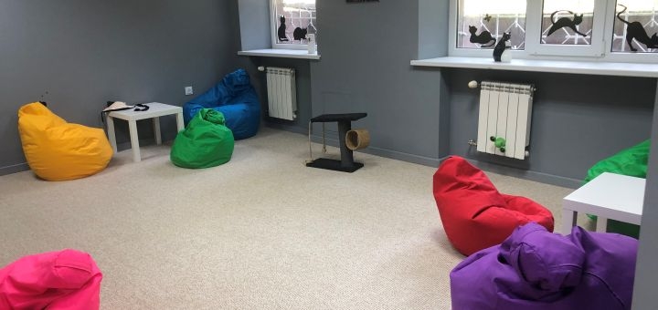 Котокафе Мурляндия в Запорожье