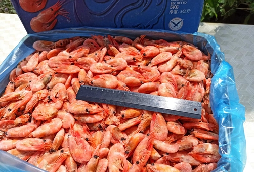 Продажа морепродуктов Наше Море. Морская рыба скидка
