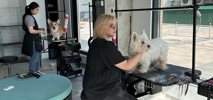 Caring for animals at the Mamiya grooming salon