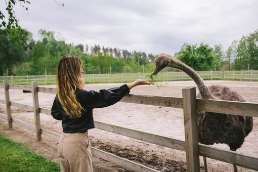 Yasnogorodka Family Ecopark near Kyiv