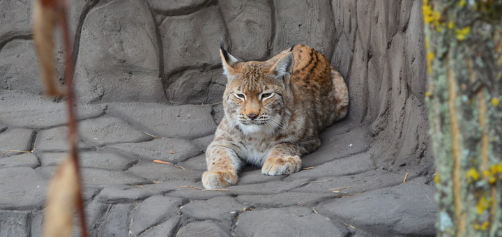 Beremitskoe Nature Park. Visit on special offer 32