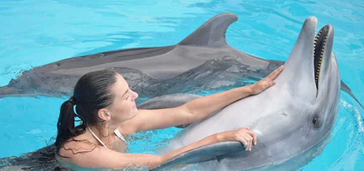 Promotion in the dolphinarium "Nemo"