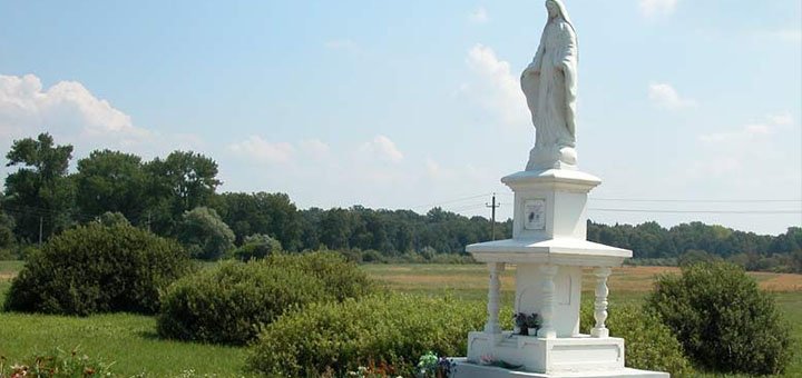 Знижки на відпочинок в санаторії «любінь великий» у львівській області4
