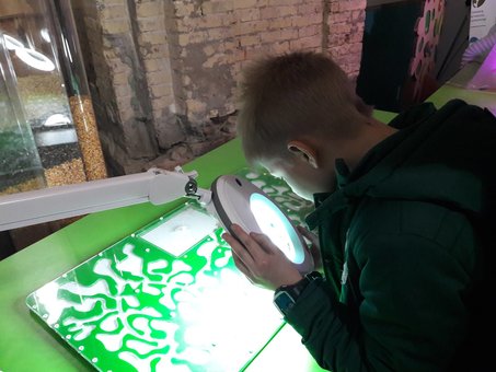 Екскурсії для дітей від турагентства Kids Travel Club в Білій Церкві. Бронюйте участь та квитки по акції.