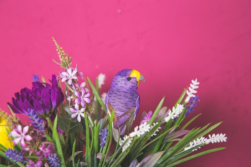 Весенняя фотосессия в студии «Fresco studio» в Киеве. Записывайтесь к фотографу по скидке.