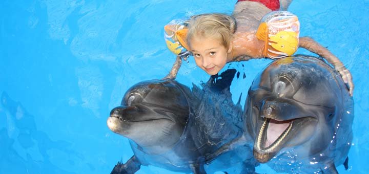 Discounts for swimming with dolphins at the nemo dolphinarium.