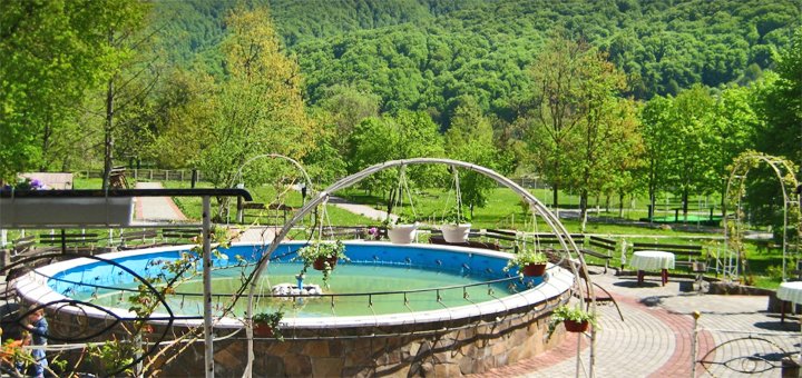 Discounts for rest in the health resort borzhava11