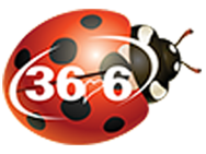 36,6